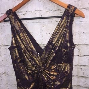 Maggy London Eggplant/Copper VNeck & Back Dress